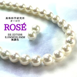 y^Ȋw F I[[8.0mmx8.5mm2_SETziPSH擾ρjFӕʏ lbNX 8.0mmx8.5mm p[lbNX i^lbNX AR^ {^j w Ǝ@̓ 
