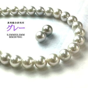 y^쑍FO[p[9.0mmx9.5mmCO sAX2_SETzӕʏiPSH擾ρj lbNX p[lbNX i^lbNX AR^ {^j w Ǝ@̓ 