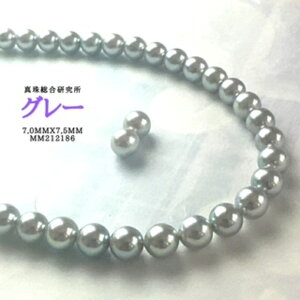 k悠ly^쑍 O[7.0mmx7.5mm2_SETziPSH擾ρj lbNX p[lbNX i^lbNX AR^i`O[ {^j w Ǝ@̓ Mt