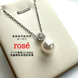 yOdppYnؖtzAR^ 10.8mm y_g^_C0.173ct^v`i`F[ti^Ȋw I[[ӕʏtj