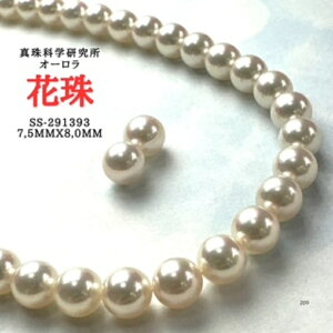 y^ȊwI[Ԏ7.5x8.0mm2_SETzlbNX 7.5mmx8.0mm p[lbNX i^lbNX AR^ ōi {^j w Ǝ@̓ Mtg