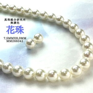 y^쑍FԎ7.5mmx8.0mm2_SETziPSH擾ρjFԎӕʏ i^lbNX AR^ ōi {^j w Ǝ@̓ Mtg