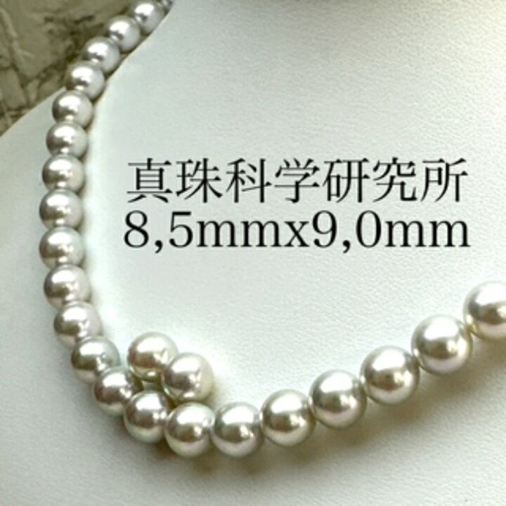 楽天市場】大粒真珠【真珠科学研究所 オーロラ真多麻8.5mmx9.0mm 