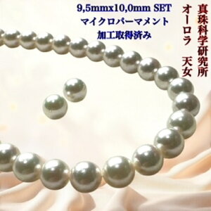 y^Ȋw FI[V8.5mmx9.0mm2_SETziMPH擾ρjVӕʏ lbNX 2_Zbg i^lbNX AR^ ōi j w Ǝ ̓ Ԏ