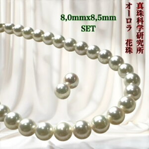 y^Ȋw I[Ԏ 8.0mmx8.5mmCO sAX2_SETziPSH擾ρj 8.0mmx8.5mm p[lbNX i^lbNX AR^ {^j w Ǝ@̓ Mtg NX