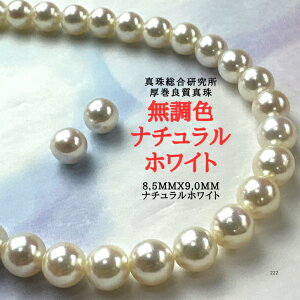 yyVX[p[Z[P10{ő20OFFzy^쑍 F i`zCg@ǎ^8.5mmx9.0mmCO sAX2_SETziPSH擾 )iAR^i`zCg {