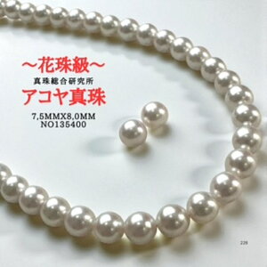 yeALYԎ싉@^쑍ӕʏ7.5mmx8.0mmCO sAX2_SETӕʏ lbNX p[lbNX i^lbNX AR^ {^j w Ǝ@̓ Mtg N