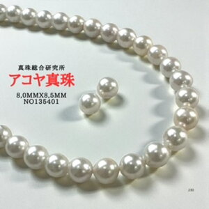 y11/20-27Gg[P10{zy^쑍ӕʏ8.0mmx8.5mmCO sAX2_SETӕʏ lbNX 8.0mmx8.5mm p[lbNX i^lbNX AR^ {^j w Ǝ