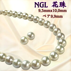 k悠lyNGLԎ9.5mmx10.0mm2_SETzԎӕʏ lbNX 9.5mmx10.0mm p[lbNX i^lbNX AR^ ōi {^j w Ǝ@̓ Mtg