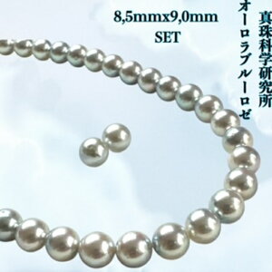 k悠ly^ȉԌ I[u[[8.5mmx9.0mm F CO sAX2_SETzFӕʏ lbNX i`O[ i^lbNX AR^ ōi {^j 