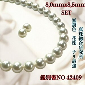 k悠ly^쑍 FԎ8.0mmx8.5mm 2_SETzFԎӕʏ lbNX i^lbNX AR^ ōi {^j w Ǝ@̓ Mtg