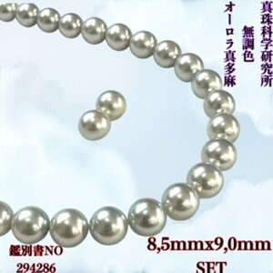 【真珠科学研究所 オーロラ真多麻8.5mmx9.0mm 無調色 2点SET】無調色オーロラ真多麻鑑別書 ネックレス ナチュラルグレー (真珠ネックレス アコヤ真珠 最高品質 本真珠) 入学式 卒業式 母の