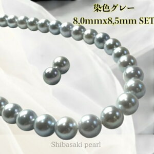 k悠lyO[8.0mmx8.5mm F2_SET8.0mm CO sAX lbNX i^lbNX AR^ {^j w Ǝ ̓ Mtg NX}X NNn