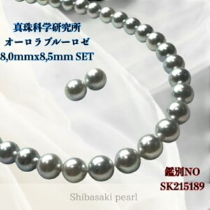 y^ȉԌ I[u[[8.0mmx8.5mm FCO sAX 2_SETzFI[u[[8.0mmӕʏ lbNX i`O[ i^lbNX AR^ ōi 