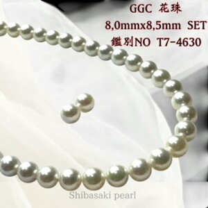 GGCԎ8.0mmx8.5mmCO sAXSETԎӕʏ lbNX 8.0mmx8.5mm p[lbNX i^lbNX AR^ ōi {^j w Ǝ@̓ Mtg NX}X NNn