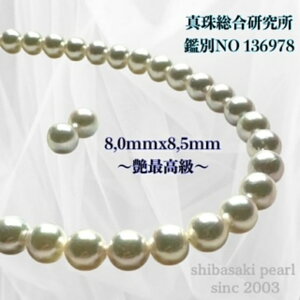 y11/20-27Gg[P10{zy^쑍ӕʏ8.0mmx8.5mmCO sAX2_SETӕʏ lbNX 8.0mmx8.5mm p[lbNX i^lbNX AR^ {^j w Ǝ