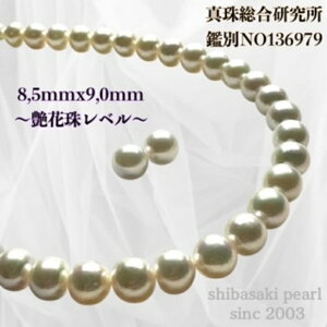 y11/20-27Gg[P10{zy^쑍ӕʏ8.5mmx9.0mmCO sAX2_SETӕʏ lbNX 8.5mmx9.0mm p[lbNX i^lbNX AR^ {^j w Ǝ