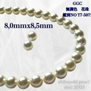 yGGC F Ԏ 8.0mmx8.5mmCO sAX2_SETzFԎӕʏ lbNX 8.0mmx8.5mm p[lbNX i^lbNX AR^ ōi {^j w Ǝ@̓ Mtg