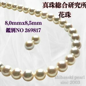 y^쑍 Ԏ 8.0mmx8.5mmCO sAX2_SETzԎӕʏ p[lbNX i^lbNX AR^ ōi {^j w Ǝ@̓ Mtg NX}X NNn