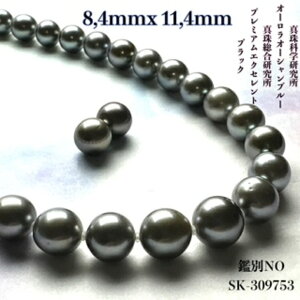 y11/20-27Gg[P10{zy^ȊwI[I[Vu[8.4mmx11.4mmCO sAX2_SETz v`iubN I[Vu[ ^ O[  NX}X 