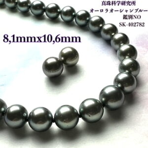 y11/20-27Gg[P10{zy^ȊwI[I[Vu[8.1mmx10.6mmCO sAX2_SETz v`iubN I[Vu[ ^ O[  NX}X 