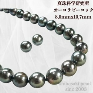 yyVX[p[Z[P10{ő20OFFzy^ȊwI[s[RbN8.5mmx10.4mmCO sAX2_SETz ^  NX}X NNn