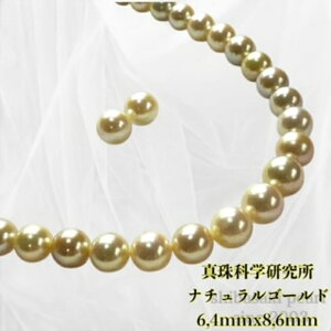 yyVX[p[Z[P10{ő20OFFzy^Ȋwi`S[h6.4mmx8.6mmCO sAX2_SETz NX}X NNn