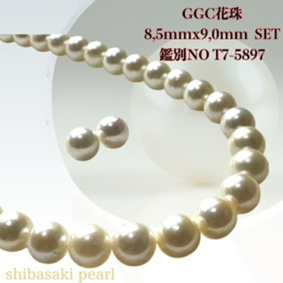 楽天市場 | 柴崎真珠店 楽天市場店 - GGC花珠8.5mmx9.0mm