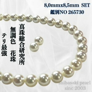 yyVX[p[Z[P10{ő20OFFzy^쑍 F Ԏ8.0mmx8.5mmCO sAX2_SETziPSH擾ρjFԎӕʏ lbNX p[lbNX iAR^ 