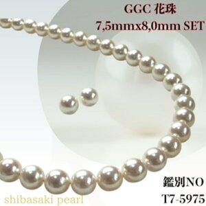 yyVX[p[Z[P10{ő20OFFzyGGCԎ7.5mmx8.0mmCO sAXSETziPSH擾ς݁j@Ԏӕʏ lbNX p[lbNX i^lbNX AR^ ōi {^