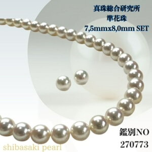 yyVX[p[Z[P10{ő20OFFzy^쑍Ԏ7.5mmx8.0mmCO sAXSETziPSH擾ς݁jԎӕʏ lbNX p[lbNX i^lbNX AR^ 