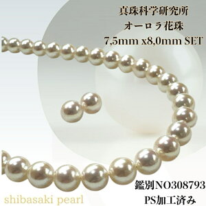 yyVX[p[Z[P10{ő20OFFzy^ȊwI[Ԏ7.5x8.0mmCO sAX2_SETziPSH擾ρjlbNX p[lbNX i^lbNX AR^ ōi