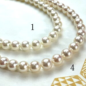 3{܂k悠ly^Ȋw F I[[8.0mmx8.5mmCO sAX2_SETziPSH擾ρjFӕʏ lbNX p[lbNX i^lbNX AR^