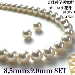 �yXmasP5�{5��OFF�z�y�^��Ȋw������ �I�[�����Ԏ� 8.5mmx9.0mm�C�������O �s�A�X2�_SET�z�iPS���H�擾�ρj�Ԏ�ӕʏ� �l�b�N���X �i�^��l�b�N���X �A�R���^�� �ō��i�� �{�^��j ���w�� ���Ǝ��@