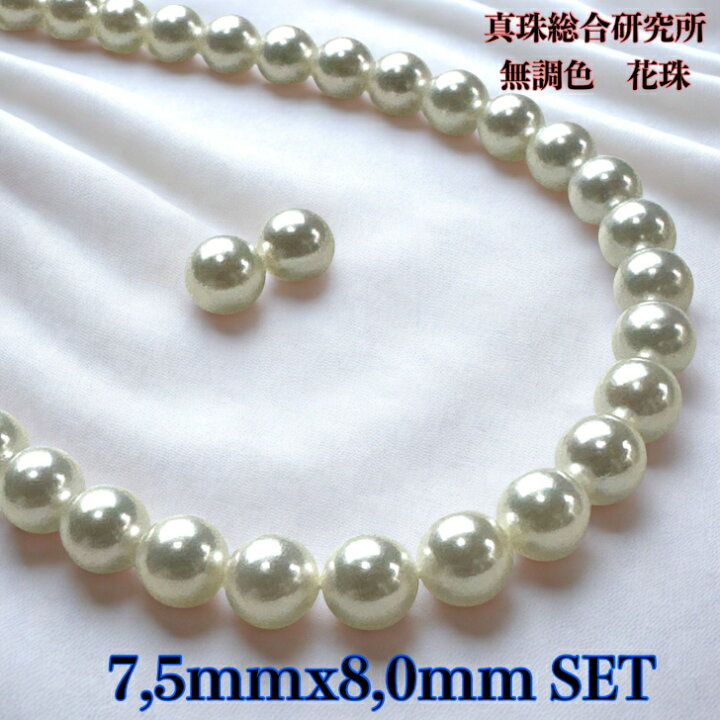 楽天市場】【真珠総合研究所無調色花珠7.5mmx8.0mm2点SET】無 