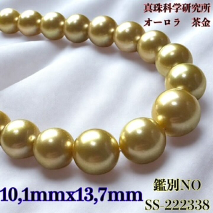 楽天市場】大粒真珠【真珠科学研究所オーロラ茶金10.1mmx13.7mm 