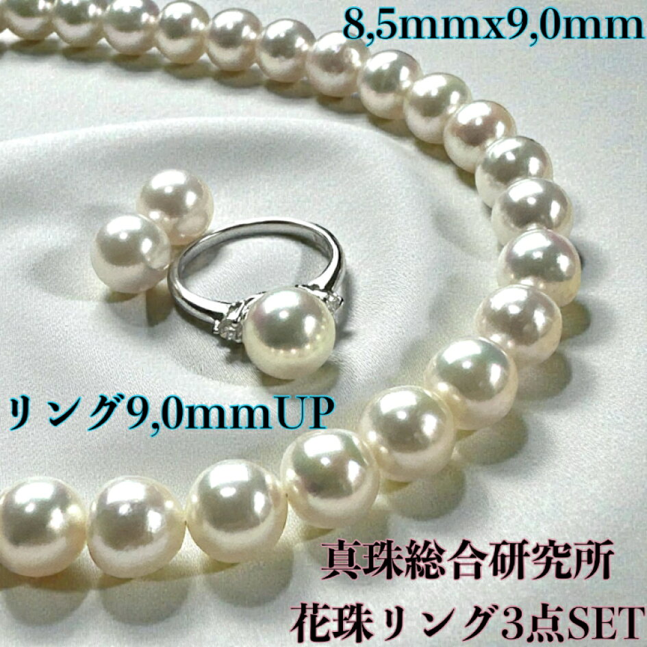 楽天市場 | 柴崎真珠店 楽天市場店 - お客様 NO21