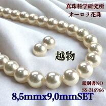 楽天市場】アコヤ真珠 8mm 鑑別書の通販