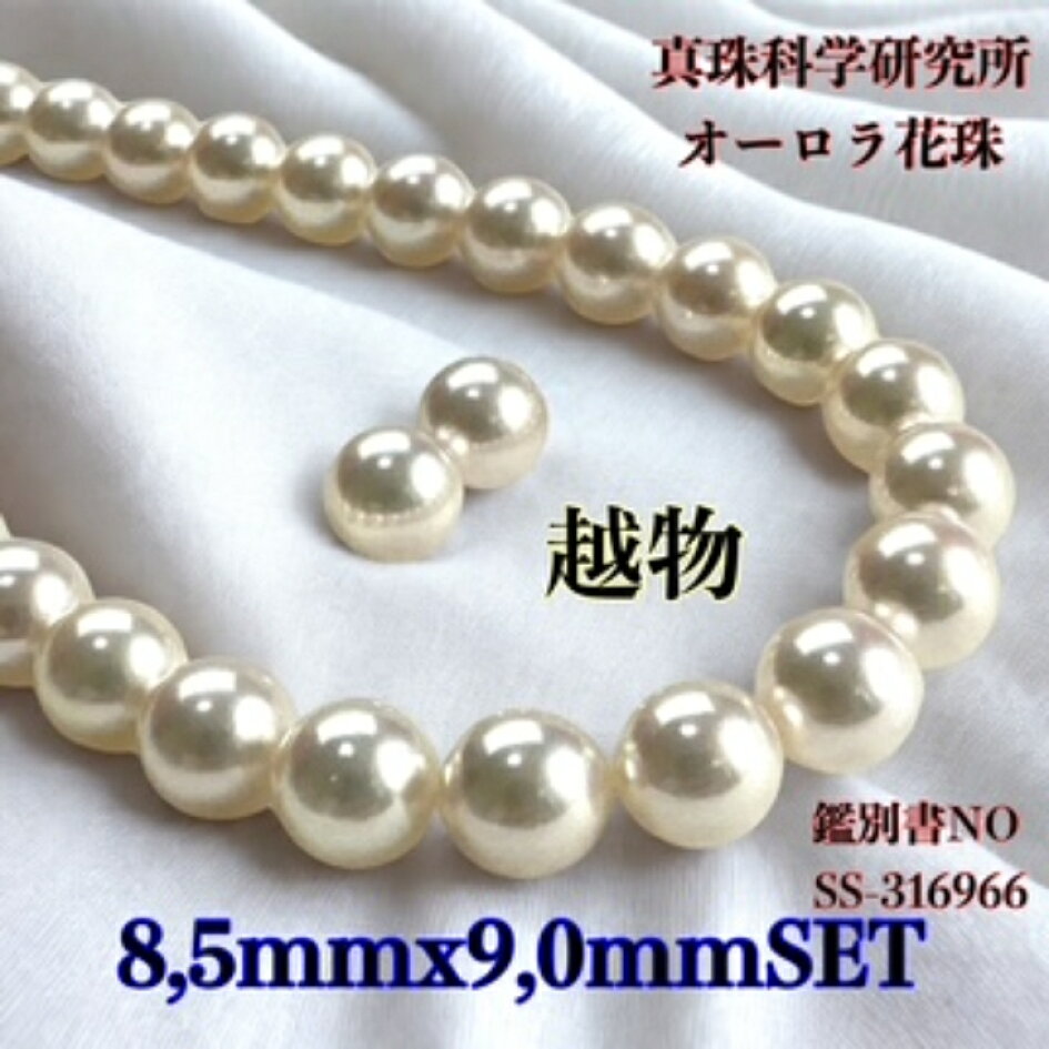 楽天市場 | 柴崎真珠店 楽天市場店 - お客様 NO44