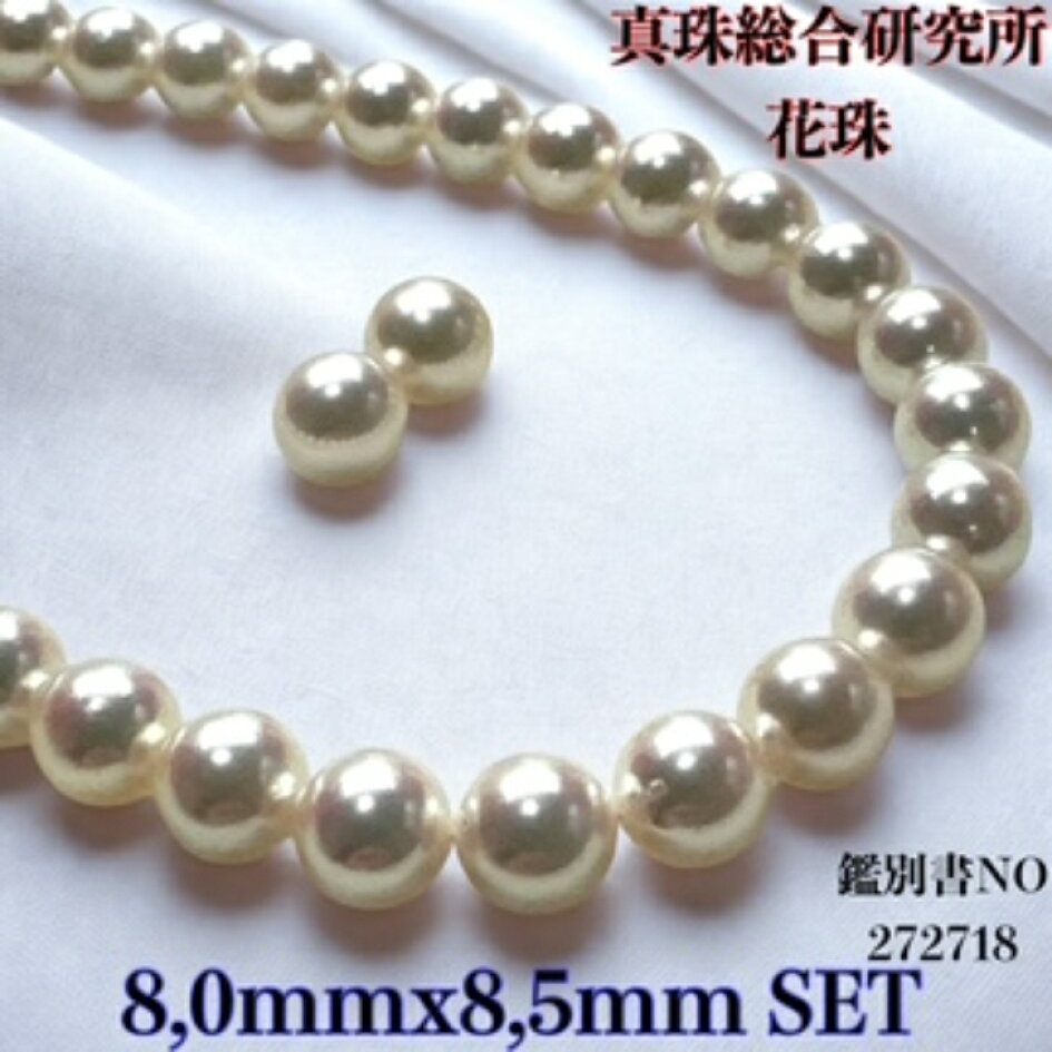 楽天市場 | 柴崎真珠店 楽天市場店 - 真珠総合研究所 花珠8mmx8.5mm