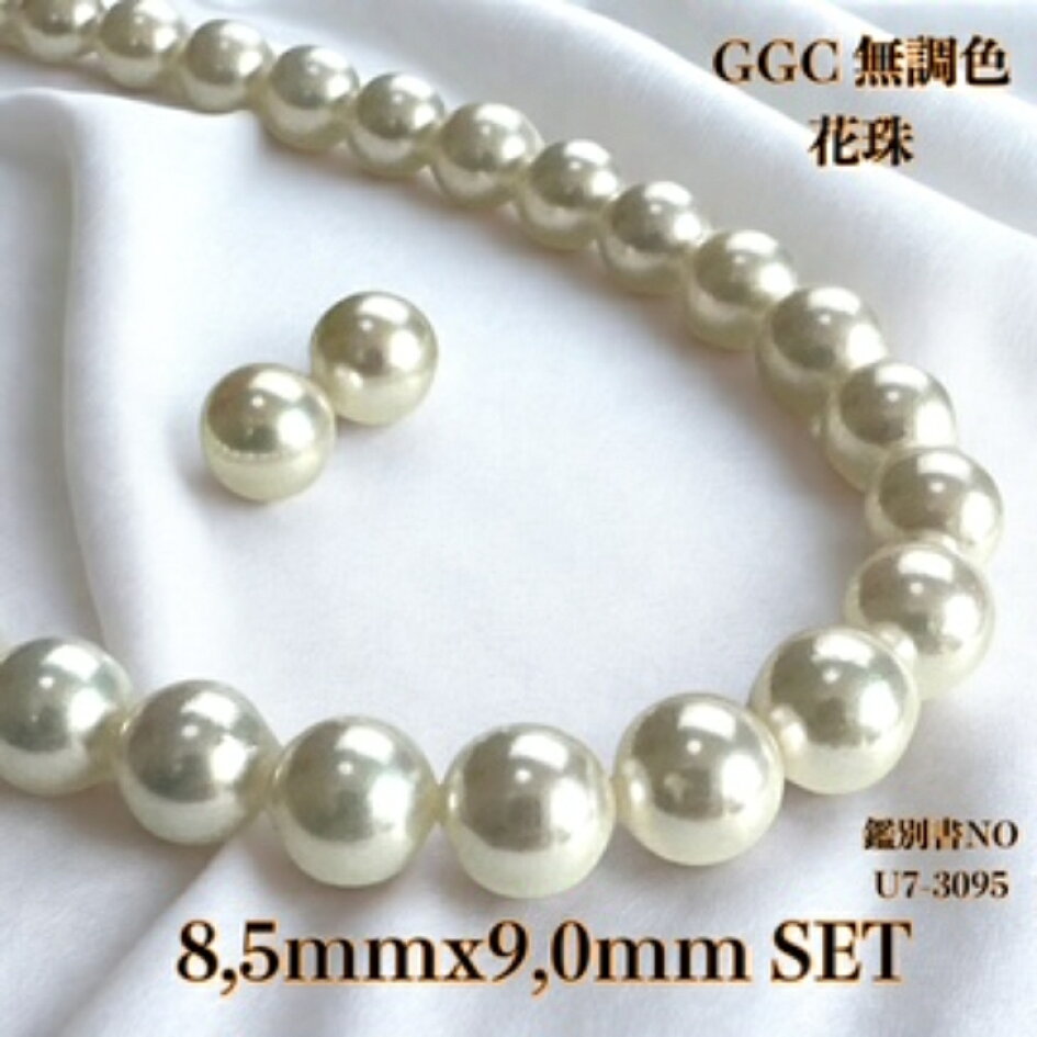 楽天市場 | 柴崎真珠店 楽天市場店 - GGC無調色花珠8.5mmx3本