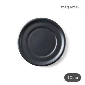 鉄黒茶器 キューラ コーヒーソーサー カップ&ソーサー miyama 深山 美濃焼 磁器 日本製