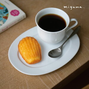 slope �X���[�v 18cm �I�[�o���v���[�g ����miyama �[�R �V���v�� ���Z�� ���{��