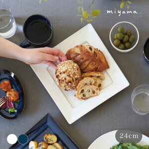 familj lunch t@~[ ` p24cmv[g J[h XNGA lpM miyama [R Z  {