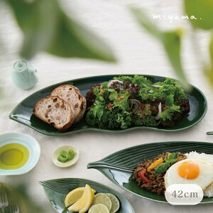 soramame ソラマメ 大皿 42cmプレート 葉っぱ 特大 豆 皿 グリーン 織部 miyama 深山 美濃焼 磁器 日本製