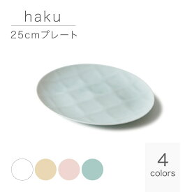 haku ハク 25cmプレート オーバル パステルカラー miyama 深山 美濃焼 日本製