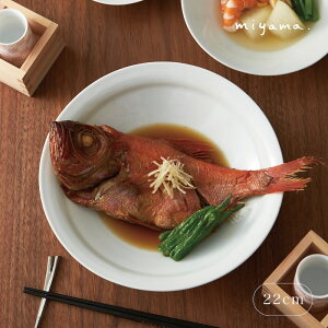 locube Nx 22cm^}S 唫miyama [R 쏹   Z {