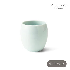 teee �e�B�[�[ �ʓ��� �� 100ccmiyama �[�R �쏹 ���� ���� ���Z�� ���{��