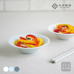 sazanami Ȃ11.5 c Z { H _ ̂