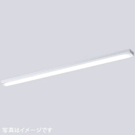 IWASAKI 岩崎電気　LEDioc (レディオック)　 LEDベースライト (LEDユニット一体形)　40W形 トラフ形　Hf32形定格出力形相当 5200lmタイプ 2灯用相当 (高効率タイプ)　ELT45201ENPNS9